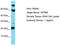 Uncharacterized protein C11orf90 homolog antibody, TA334885, Origene, Western Blot image 