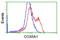 Cytochrome C Oxidase Subunit 6A1 antibody, LS-C115443, Lifespan Biosciences, Flow Cytometry image 