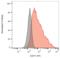 Nerve Growth Factor Receptor antibody, LS-C204389, Lifespan Biosciences, Flow Cytometry image 