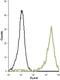 Potassium Voltage-Gated Channel Subfamily A Member 5 antibody, PA5-77650, Invitrogen Antibodies, Flow Cytometry image 