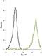 Potassium Voltage-Gated Channel Subfamily A Member 5 antibody, PA5-77650, Invitrogen Antibodies, Flow Cytometry image 