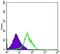 KLRD1 antibody, MA5-15817, Invitrogen Antibodies, Flow Cytometry image 