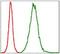 Troponin I2, Fast Skeletal Type antibody, MA5-17189, Invitrogen Antibodies, Flow Cytometry image 