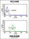 Bft antibody, 62-833, ProSci, Flow Cytometry image 