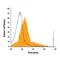 Podocalyxin Like antibody, FAB1556A, R&D Systems, Flow Cytometry image 