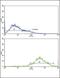 Selectin L antibody, PA5-35327, Invitrogen Antibodies, Flow Cytometry image 