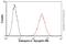 Cathepsin K antibody, ab37259, Abcam, Flow Cytometry image 