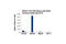 RNA Polymerase II Subunit A antibody, 2629S, Cell Signaling Technology, Chromatin Immunoprecipitation image 