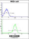 ZW10 Interacting Kinetochore Protein antibody, 62-403, ProSci, Immunofluorescence image 