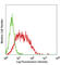 Notch Receptor 2 antibody, 130707, BioLegend, Flow Cytometry image 