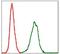 Serpin Family E Member 1 antibody, MA5-17171, Invitrogen Antibodies, Flow Cytometry image 