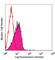 CD150 antibody, 115923, BioLegend, Flow Cytometry image 