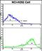 Interferon Gamma Receptor 2 antibody, PA5-72512, Invitrogen Antibodies, Flow Cytometry image 