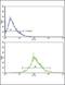 SRY-Box 6 antibody, orb304602, Biorbyt, Flow Cytometry image 