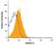 ADAMTS13 antibody, MA5-24167, Invitrogen Antibodies, Flow Cytometry image 