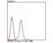 Programmed Cell Death 4 antibody, NBP2-67024, Novus Biologicals, Flow Cytometry image 