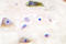 Glutamate Ionotropic Receptor AMPA Type Subunit 2 antibody, LS-C177700, Lifespan Biosciences, Immunohistochemistry paraffin image 