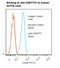 T12 antibody, LS-C134238, Lifespan Biosciences, Flow Cytometry image 