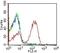 Major Histocompatibility Complex, Class II, DM Alpha antibody, NBP2-44302, Novus Biologicals, Flow Cytometry image 