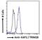 Tripartite Motif Containing 28 antibody, NB100-1161, Novus Biologicals, Flow Cytometry image 