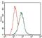 p38 antibody, GTX60771, GeneTex, Flow Cytometry image 