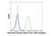 Elastase, Neutrophil Expressed antibody, 16900S, Cell Signaling Technology, Flow Cytometry image 