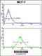 Actin Related Protein 2/3 Complex Subunit 1B antibody, 63-628, ProSci, Immunofluorescence image 