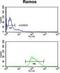 POU Class 2 Homeobox Associating Factor 1 antibody, GTX80565, GeneTex, Flow Cytometry image 