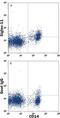 Sialic Acid Binding Ig Like Lectin 11 antibody, FAB3258P, R&D Systems, Flow Cytometry image 