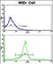 Kinesin Light Chain 1 antibody, PA5-35349, Invitrogen Antibodies, Flow Cytometry image 