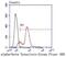 Synuclein Alpha antibody, NBP2-67537, Novus Biologicals, Flow Cytometry image 