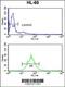 Proteasome Activator Subunit 2 antibody, 62-406, ProSci, Flow Cytometry image 