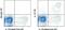 Interleukin 17F antibody, 12-7169-42, Invitrogen Antibodies, Flow Cytometry image 