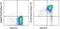 C-C Motif Chemokine Receptor 9 antibody, 46-1991-82, Invitrogen Antibodies, Flow Cytometry image 