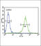 Estradiol 17-beta-dehydrogenase 12 antibody, 63-906, ProSci, Flow Cytometry image 