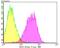 Kinetochore protein Nuf2 antibody, A03788, Boster Biological Technology, Flow Cytometry image 