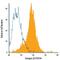 Integrin Subunit Beta 4 antibody, FAB4060G, R&D Systems, Flow Cytometry image 