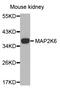 Mitogen-Activated Protein Kinase Kinase 6 antibody, LS-C335084, Lifespan Biosciences, Western Blot image 