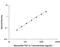 Fibroblast Growth Factor 21 antibody, MF2100, R&D Systems, Enzyme Linked Immunosorbent Assay image 