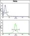 UDP-Galactose-4-Epimerase antibody, PA5-72490, Invitrogen Antibodies, Flow Cytometry image 