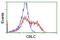 Cbl Proto-Oncogene C antibody, NBP2-46072, Novus Biologicals, Flow Cytometry image 