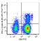 Interferon Gamma antibody, 502547, BioLegend, Flow Cytometry image 