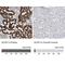 Acyl-CoA Synthetase Family Member 2 antibody, NBP2-47558, Novus Biologicals, Immunohistochemistry paraffin image 