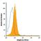 Integrin Subunit Alpha L antibody, MA5-23539, Invitrogen Antibodies, Flow Cytometry image 