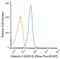 Galectin 3 antibody, NB300-538, Novus Biologicals, Flow Cytometry image 