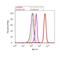 Mitogen-Activated Protein Kinase Kinase 1 antibody, 44-458G, Invitrogen Antibodies, Flow Cytometry image 