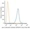 Cytokeratin Pan  antibody, NBP2-34433AF488, Novus Biologicals, Flow Cytometry image 