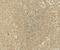Autophagy Related 4B Cysteine Peptidase antibody, NBP2-41307, Novus Biologicals, Immunohistochemistry paraffin image 