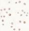 ATP Binding Cassette Subfamily A Member 1 antibody, LS-C153710, Lifespan Biosciences, Immunocytochemistry image 