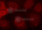 Phosphatase And Tensin Homolog antibody, AP0435, ABclonal Technology, Immunofluorescence image 